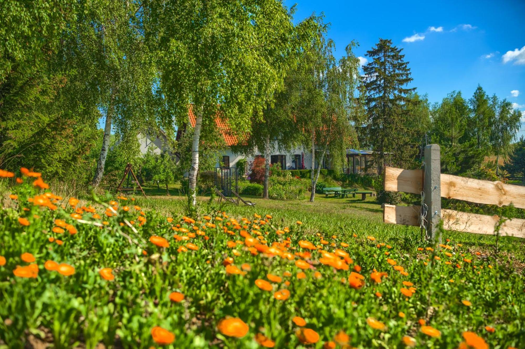 Jora Siedlisko Guest House Jora Wielka ภายนอก รูปภาพ
